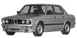 BMW E28 P2040 Fault Code