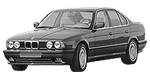 BMW E34 P2040 Fault Code